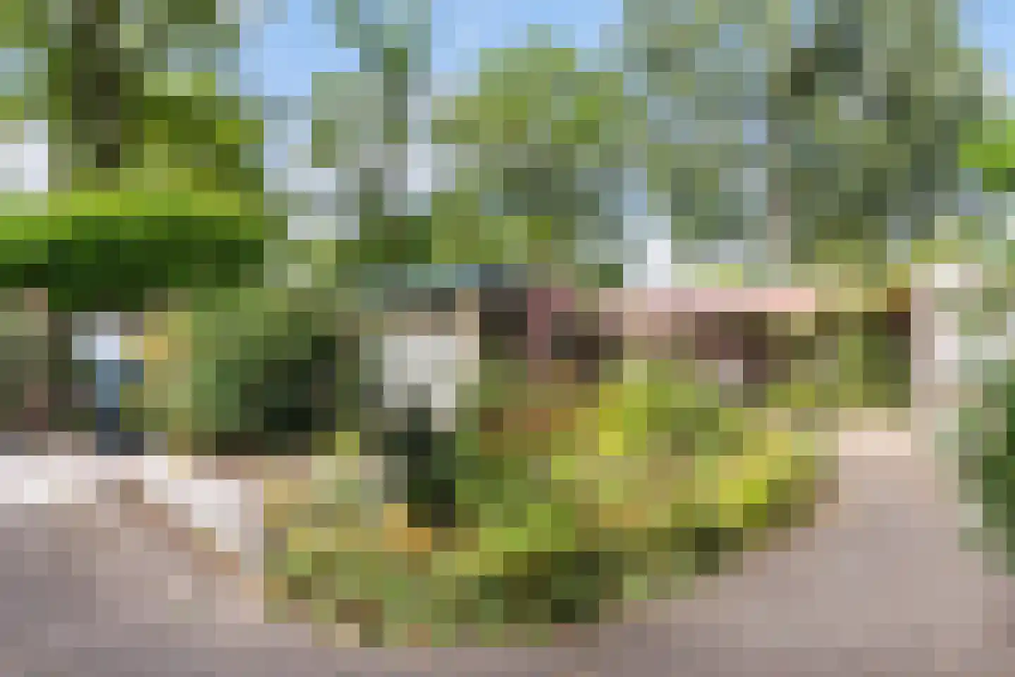 Kleersnijdershorst 5 Apeldoorn thumbnail 4