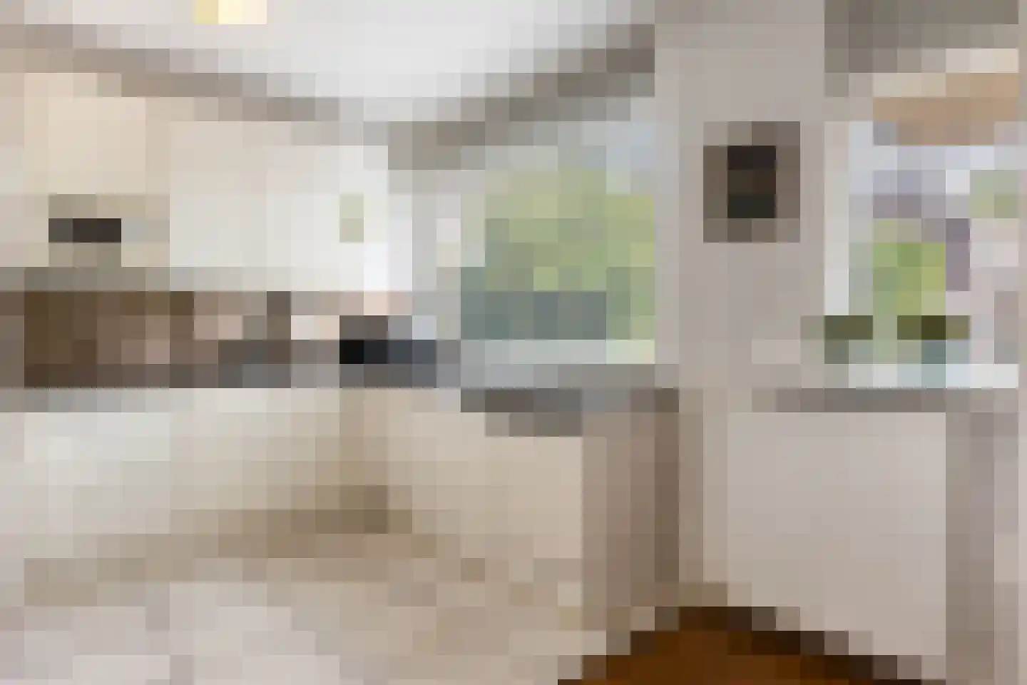 Kleersnijdershorst 5 Apeldoorn thumbnail 8