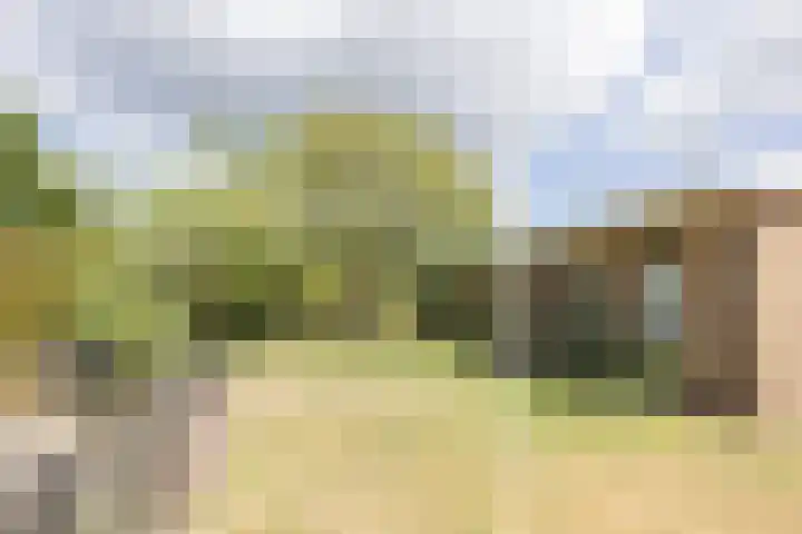 Kleiberglaan 3 Rozendaal thumbnail 5