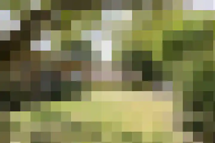 Kleiberglaan 3 Rozendaal thumbnail 6