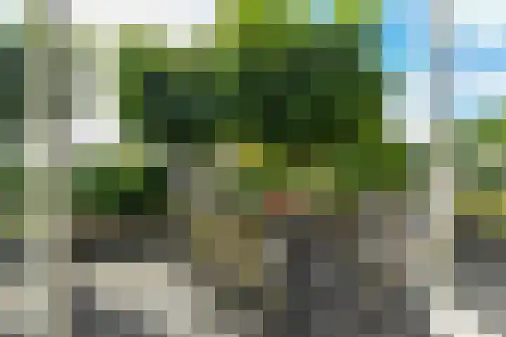 Kleiberglaan 8 Rozendaal thumbnail 12