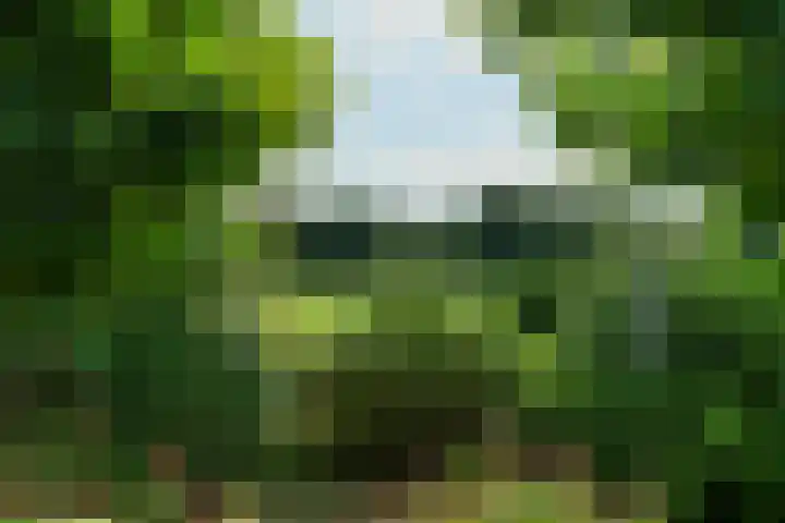 Kleiberglaan 8 Rozendaal thumbnail 13