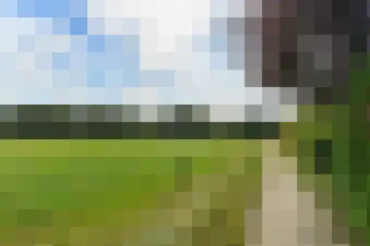 Kleiberglaan 8 Rozendaal thumbnail 37