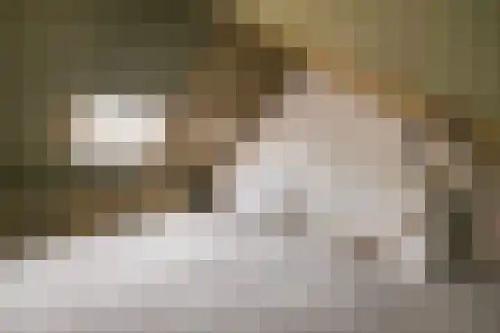 Kleibos 6 Ede thumbnail 15