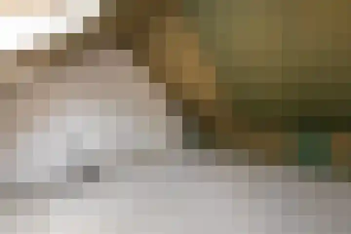 Kleibos 6 Ede thumbnail 16
