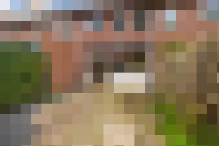 Kleibos 6 Ede thumbnail 17