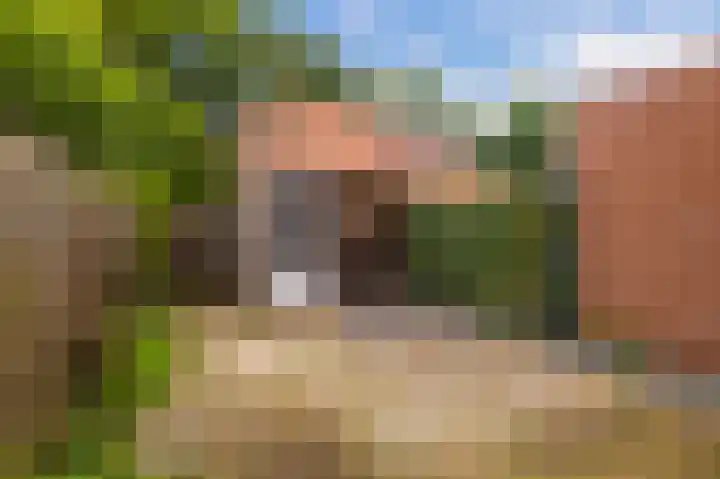 Kleibos 6 Ede thumbnail 18