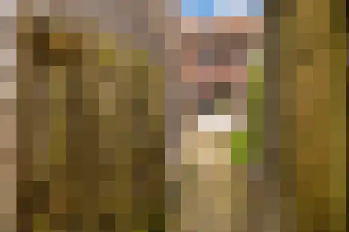 Kleibos 6 Ede thumbnail 19