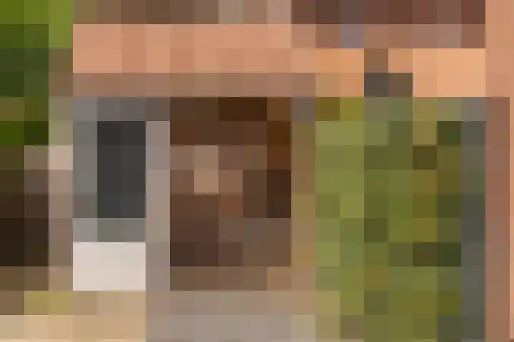 Kleibos 6 Ede thumbnail 20