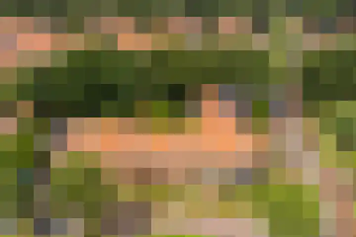 Kleibos 6 Ede thumbnail 22