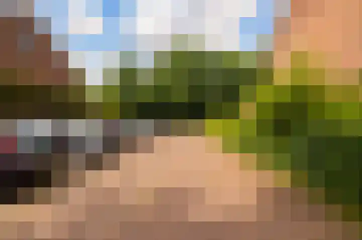Kleibos 6 Ede thumbnail 23