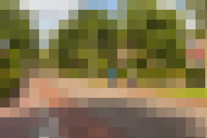 Kleibos 6 Ede thumbnail 25