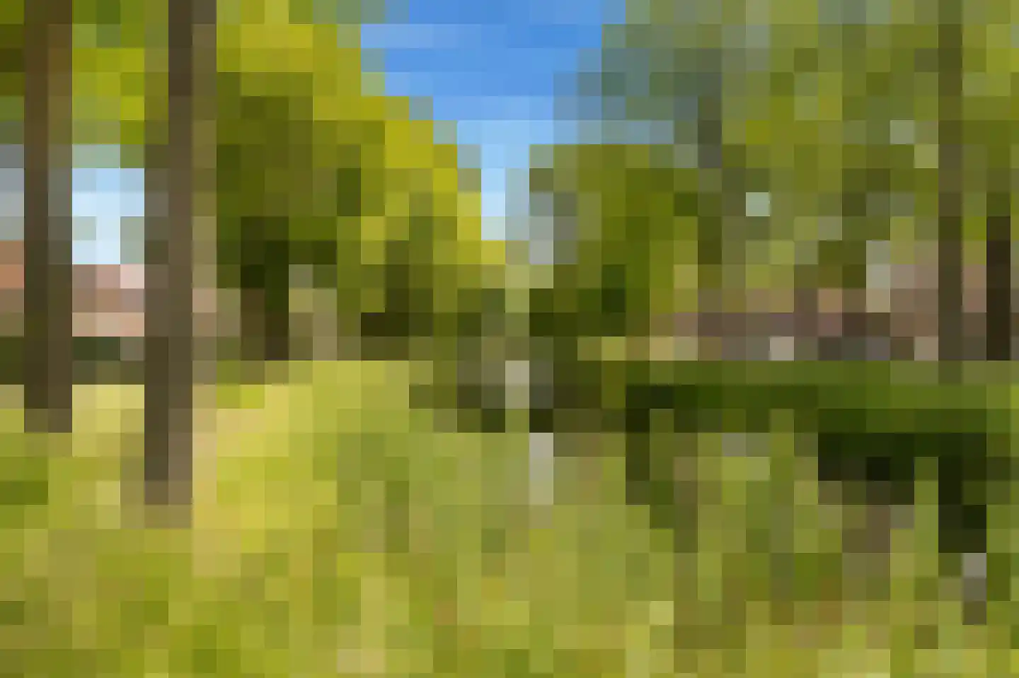 Kleibroek 50 Castricum thumbnail 53