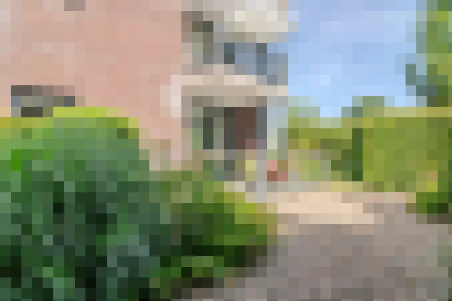 Kleibroek 74 Castricum thumbnail 25