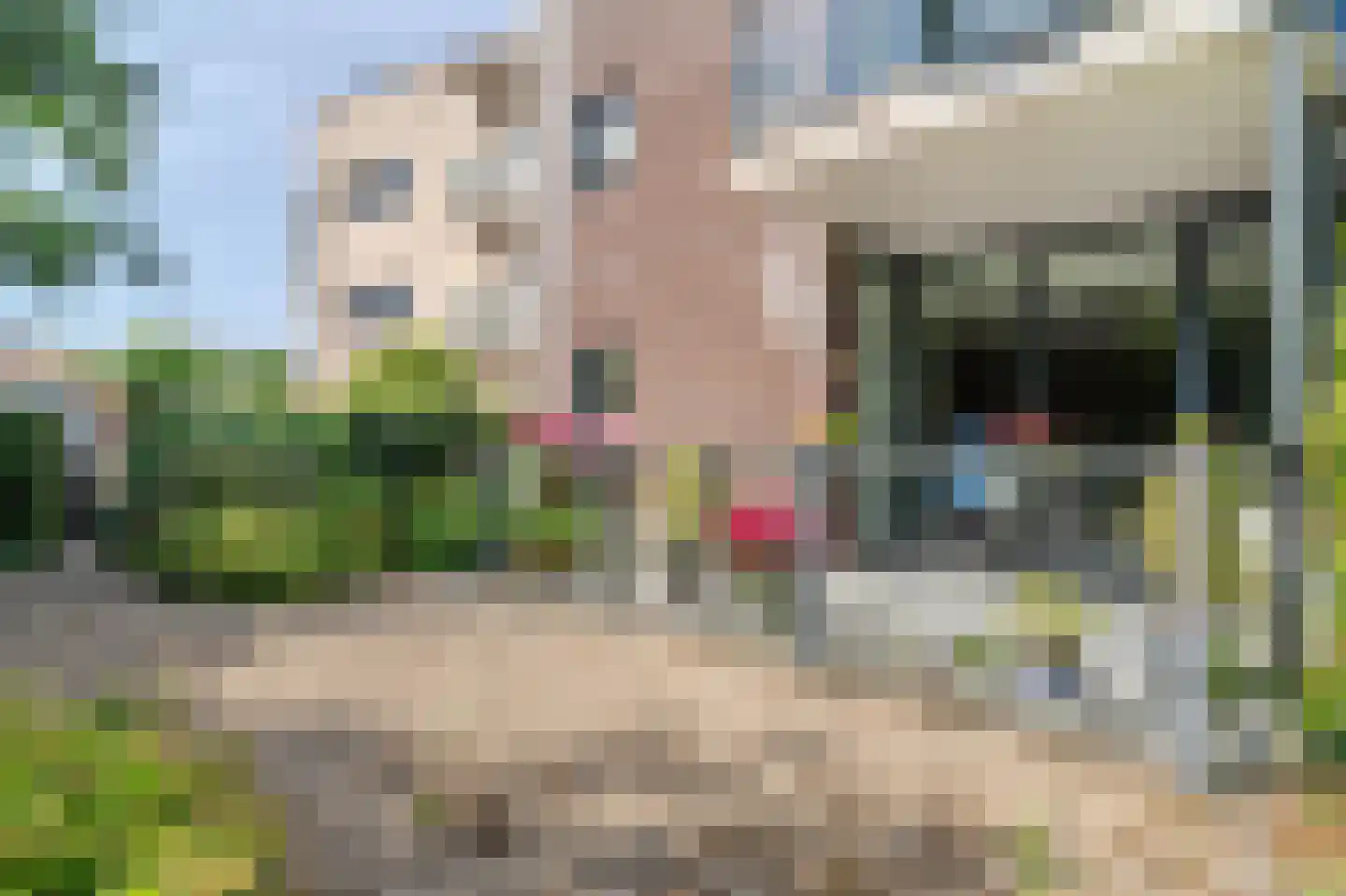 Kleibroek 74 Castricum thumbnail 26