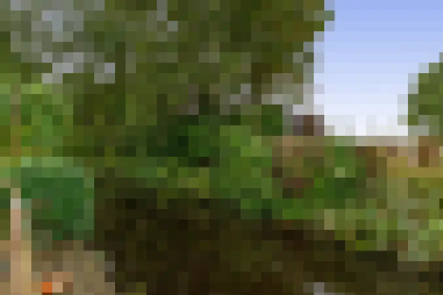 Kleiburg 12 Sassenheim thumbnail 32