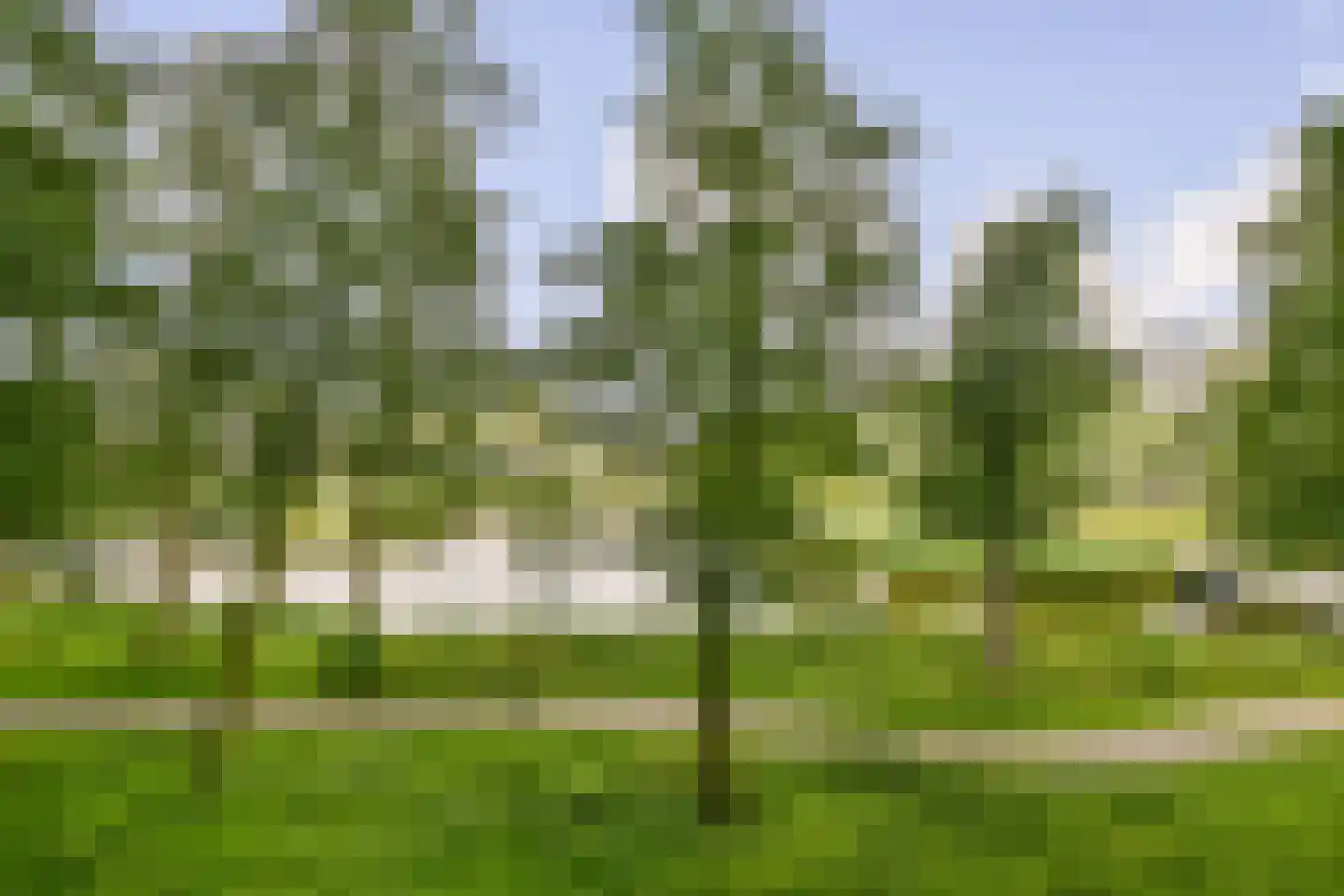 Kleiburg 203 Amsterdam thumbnail 4