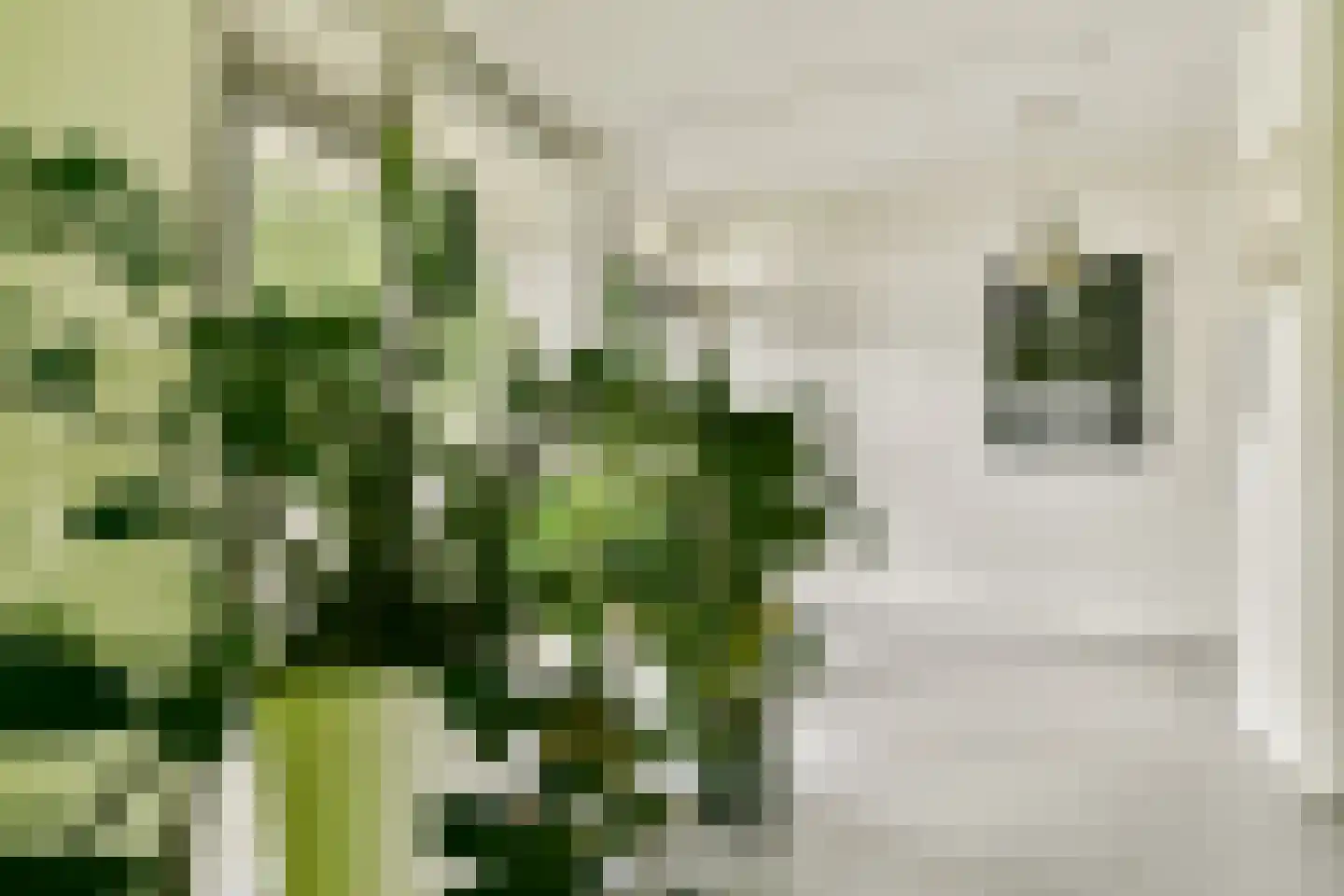 Kleiburg 203 Amsterdam thumbnail 7