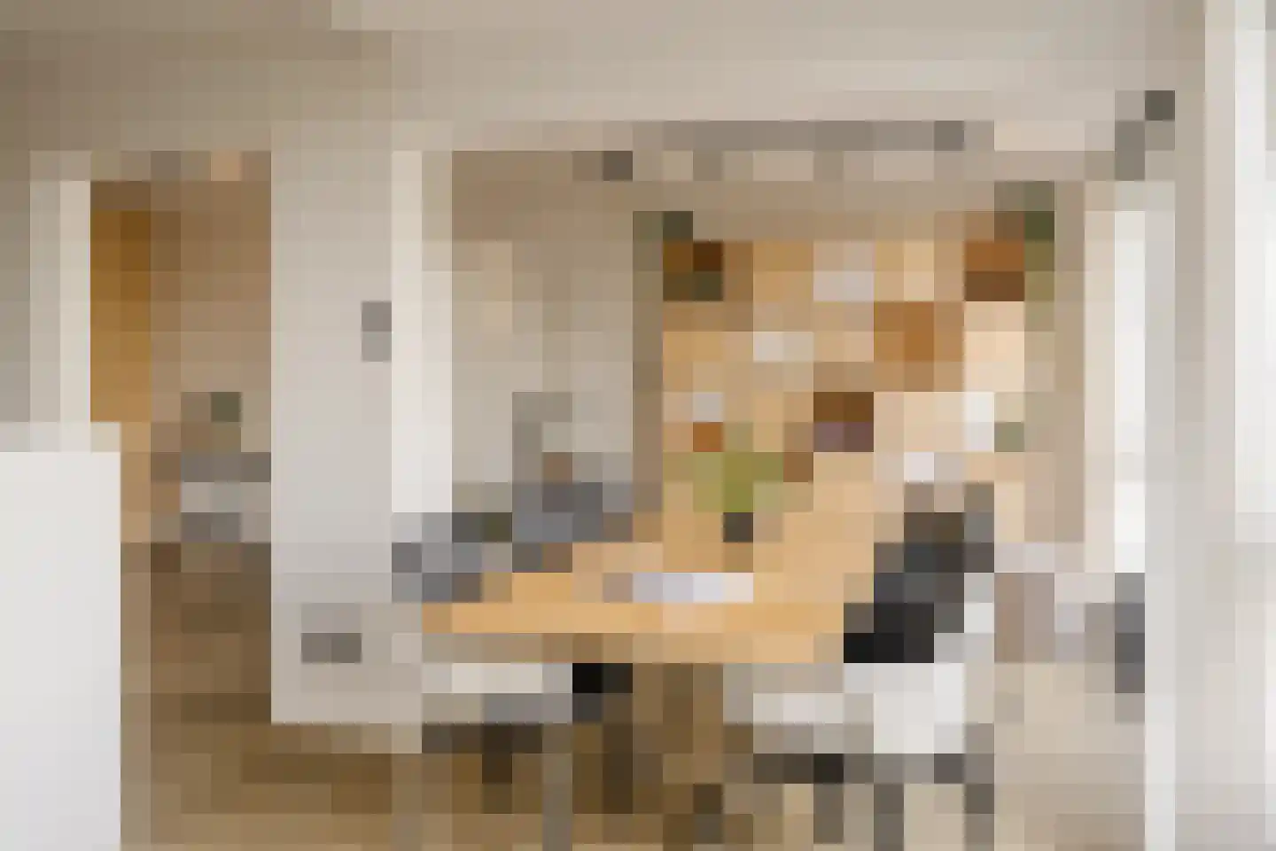 Kleiburg 21 A Amsterdam thumbnail 19