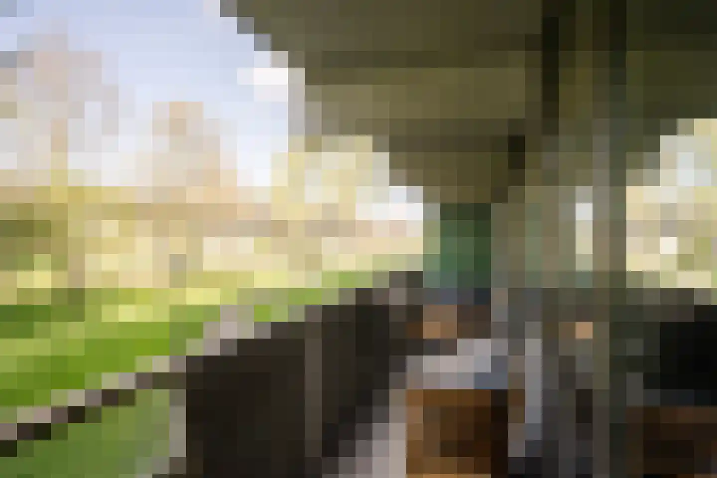 Kleiburg 21 A Amsterdam thumbnail 33