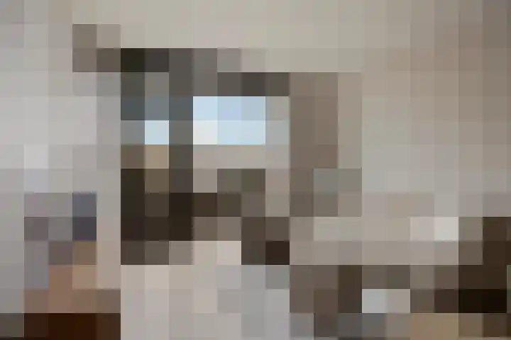 Kleiburg 639 in Amsterdam