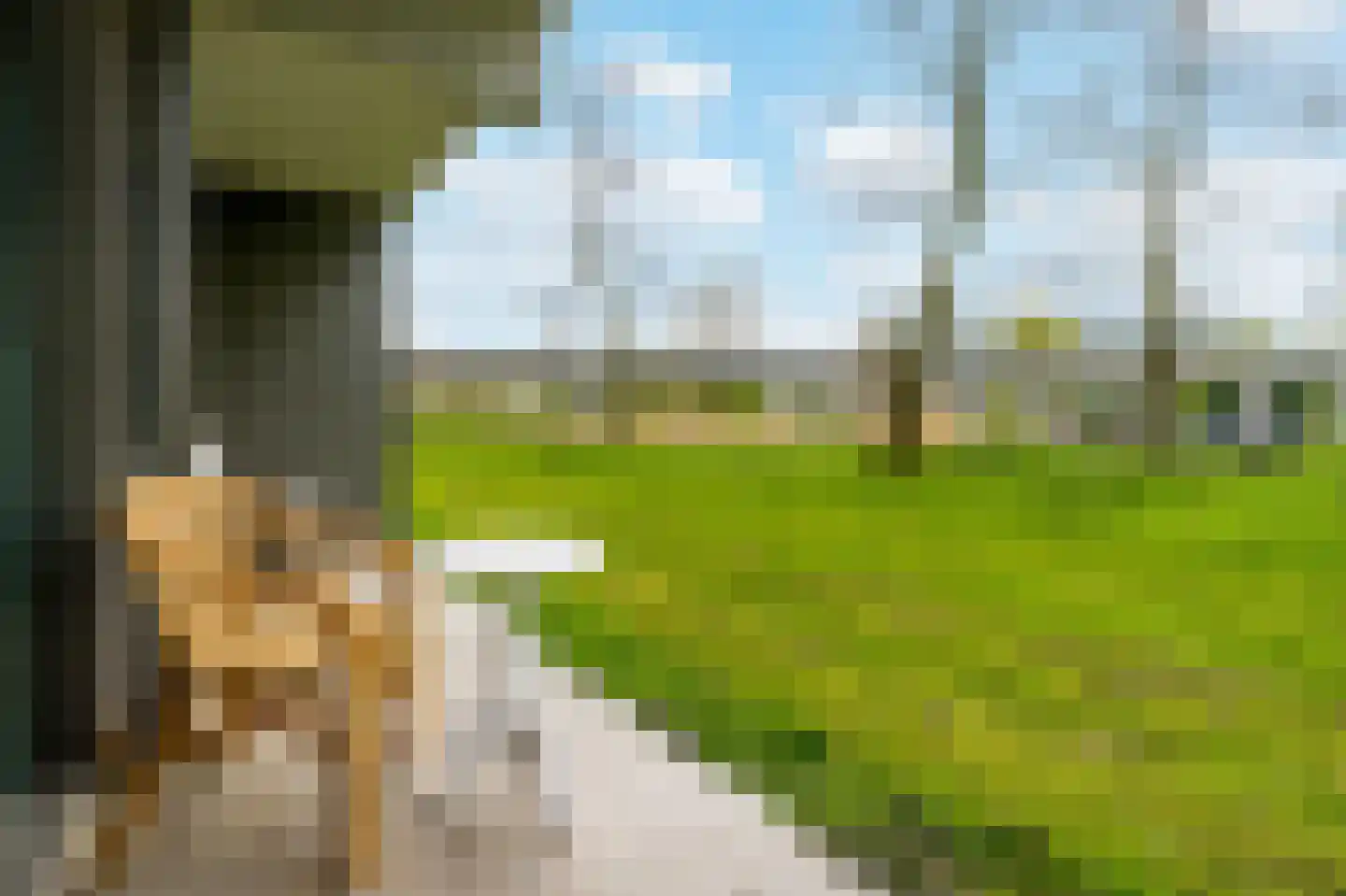 Kleiburg 7 A Amsterdam thumbnail 22