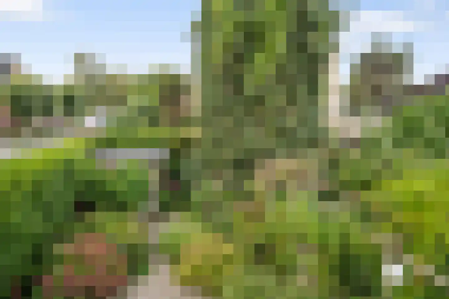 Kleidijk 11 Rhoon thumbnail 46