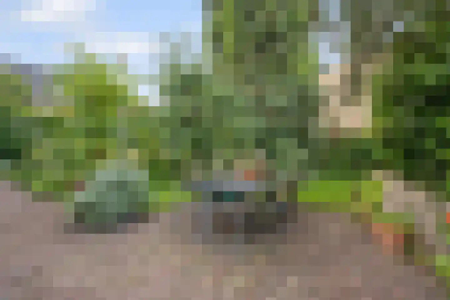Kleidijk 11 Rhoon thumbnail 49