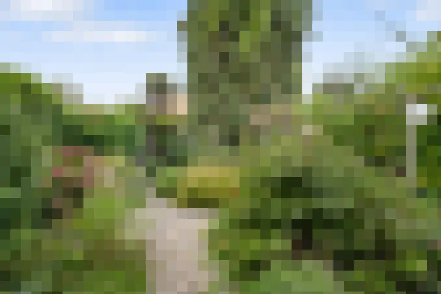 Kleidijk 11 Rhoon thumbnail 5