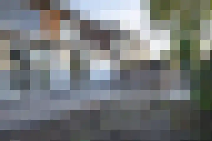 Kleidijk 15 b Rhoon thumbnail 37