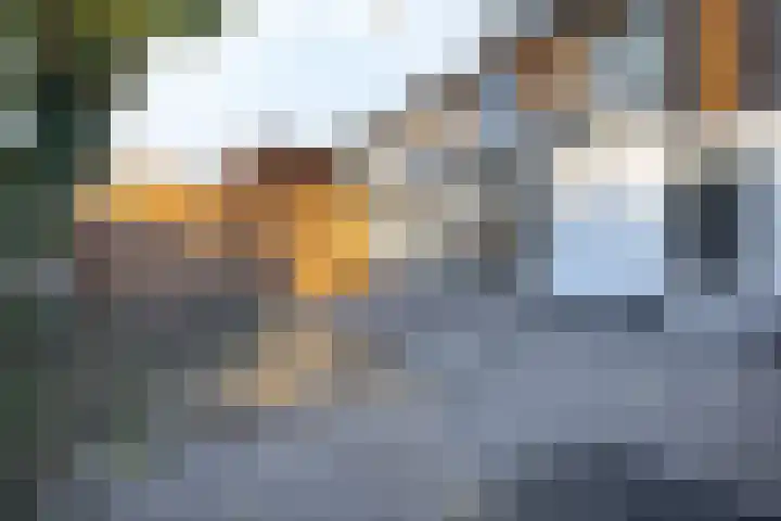 Kleidijk 15 b Rhoon thumbnail 38
