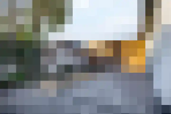Kleidijk 15 b Rhoon thumbnail 39