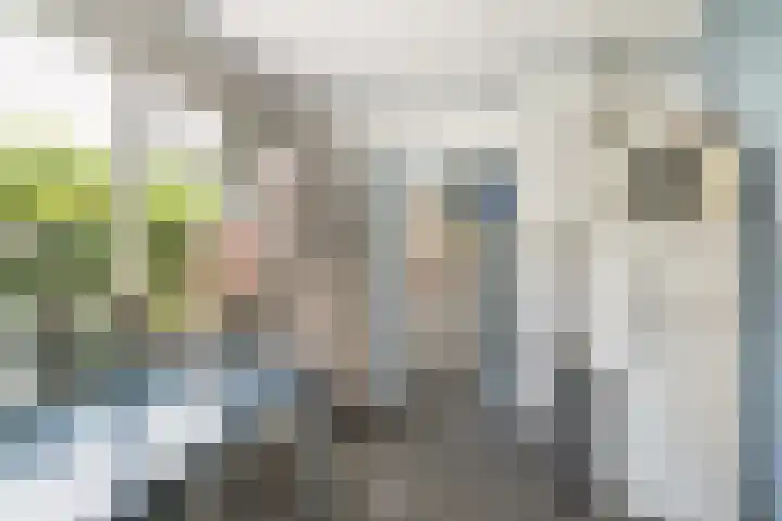 Kleidijk 3 Oostvoorne thumbnail 11