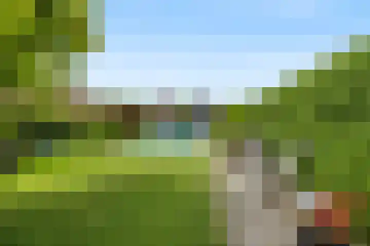 Kleidijk 3 Oostvoorne thumbnail 31