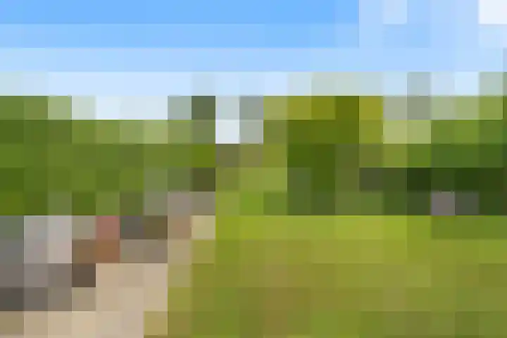 Kleidijk 3 Oostvoorne thumbnail 32