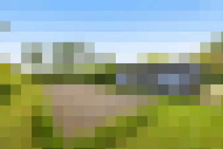 Kleidijk 3 Oostvoorne thumbnail 33