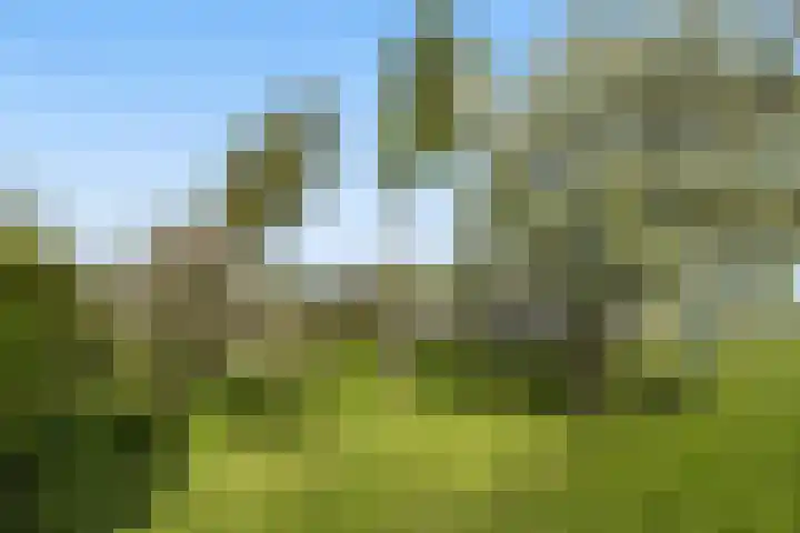 Kleidijk 3 Oostvoorne thumbnail 35