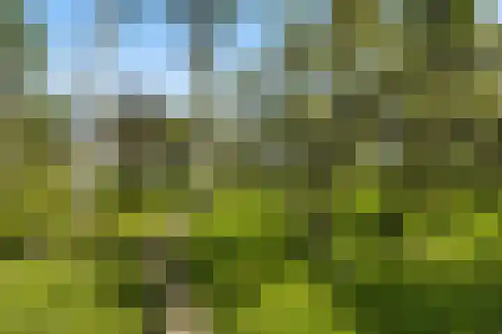 Kleidijk 3 Oostvoorne thumbnail 36