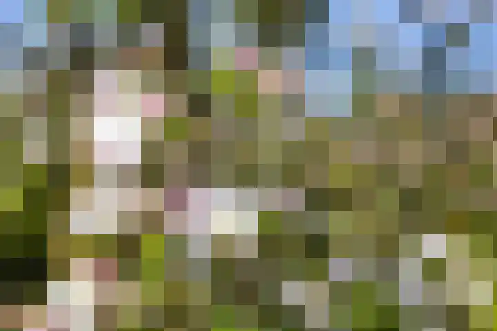 Kleidijk 3 Oostvoorne thumbnail 37