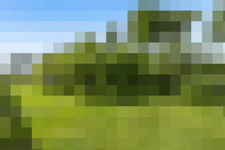 Kleidijk 3 Oostvoorne thumbnail 38