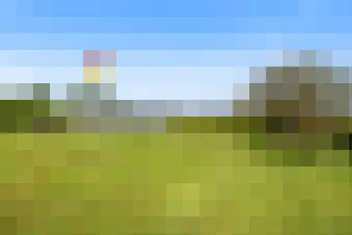 Kleidijk 3 Oostvoorne thumbnail 39