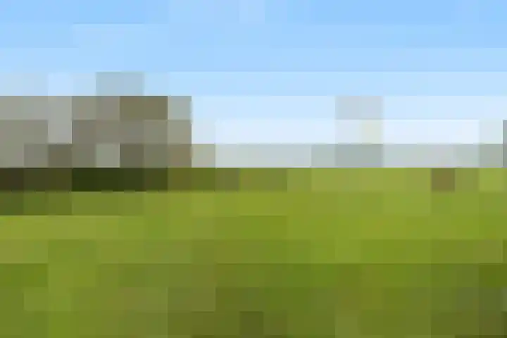 Kleidijk 3 Oostvoorne thumbnail 4