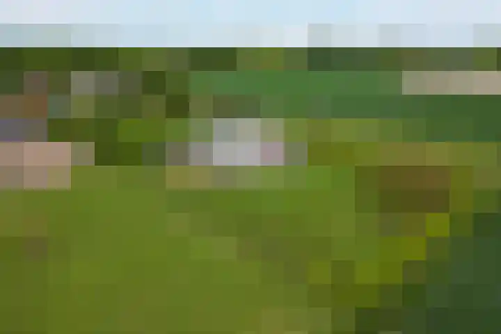 Kleidijk 3 Oostvoorne thumbnail 40