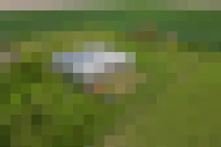 Kleidijk 3 Oostvoorne thumbnail 41