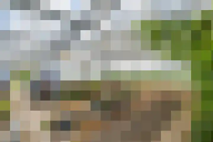 Kleidijk 3 Oostvoorne thumbnail 42