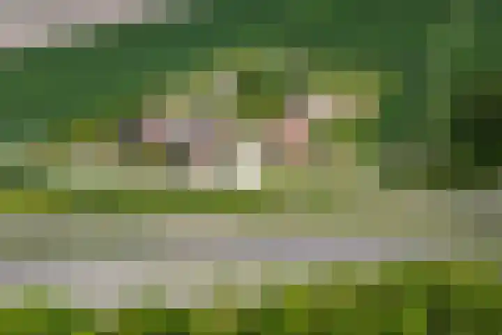 Kleidijk 3 Oostvoorne thumbnail 47
