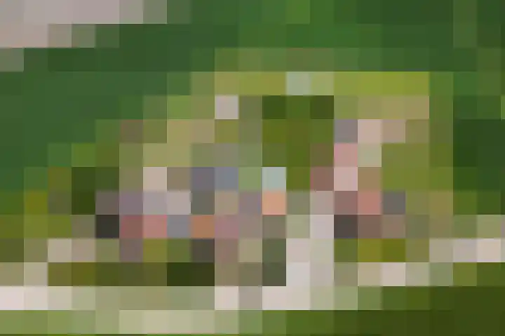 Kleidijk 3 Oostvoorne thumbnail 48