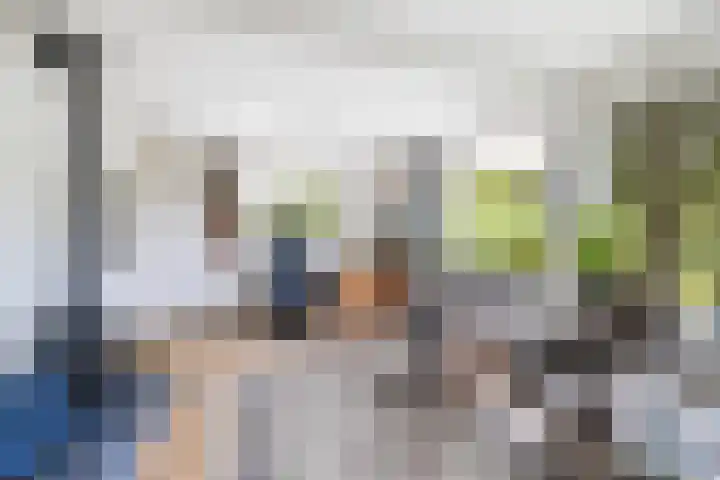 Kleidijk 3 Oostvoorne thumbnail 8