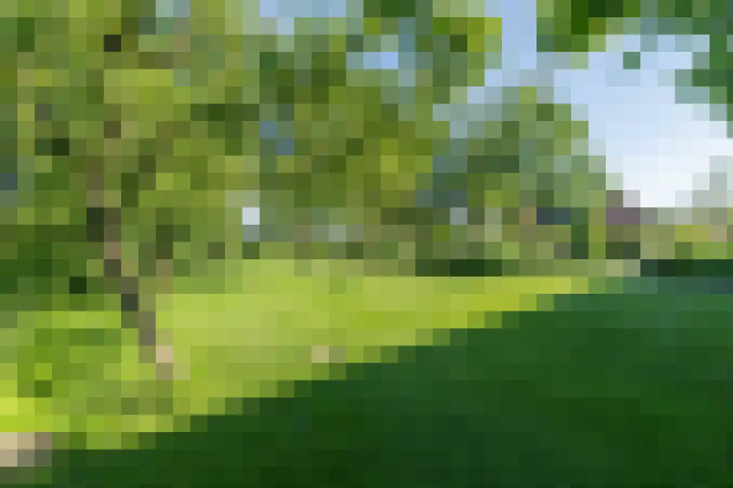 Kleidijk 4 b Diepenheim thumbnail 11