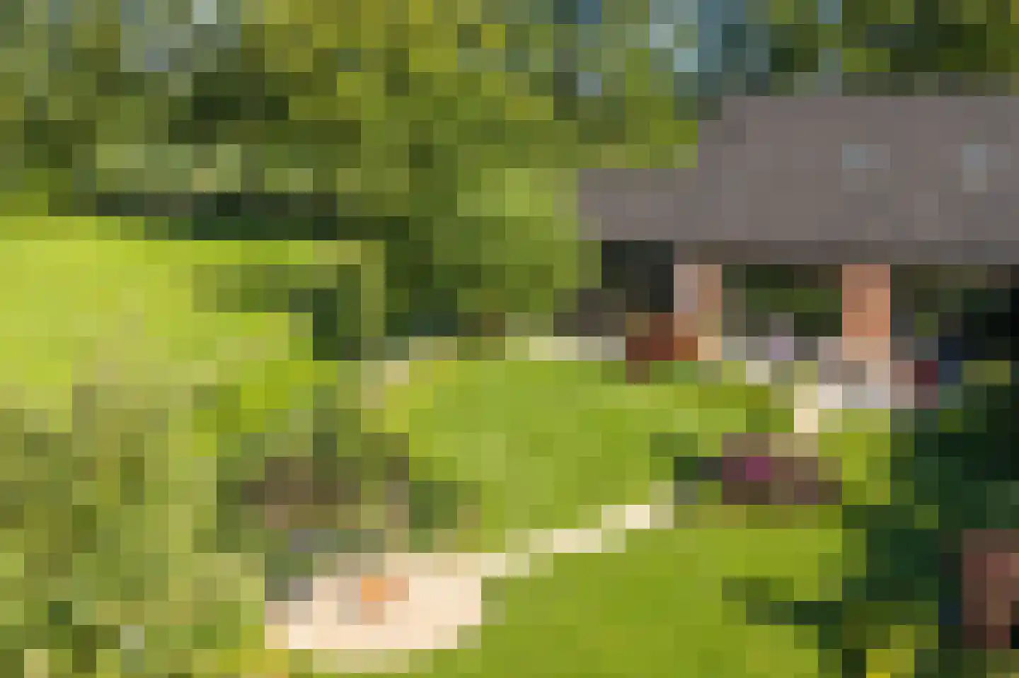 Kleidijk 4 b Diepenheim thumbnail 17
